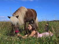 Reiten, Pferde, Pony, Esel im Wald